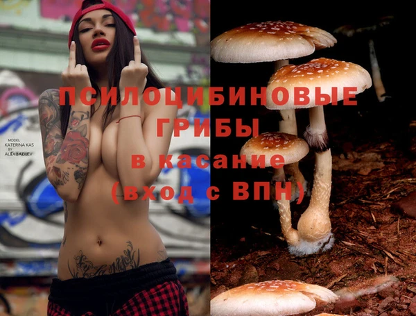 jwh Богданович