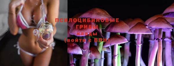 гидропоника Богородицк
