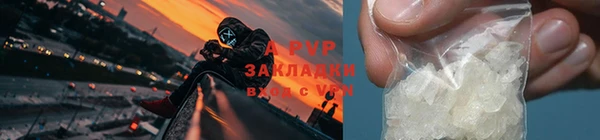 не бодяженный Белокуриха