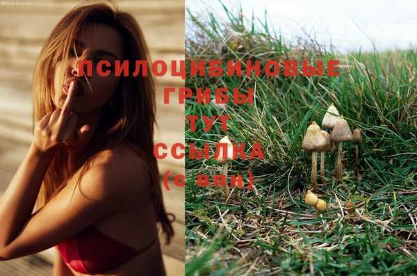 марки nbome Балахна