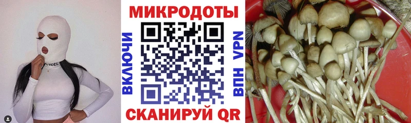 Псилоцибиновые грибы GOLDEN TEACHER  дарнет шоп  Свободный 